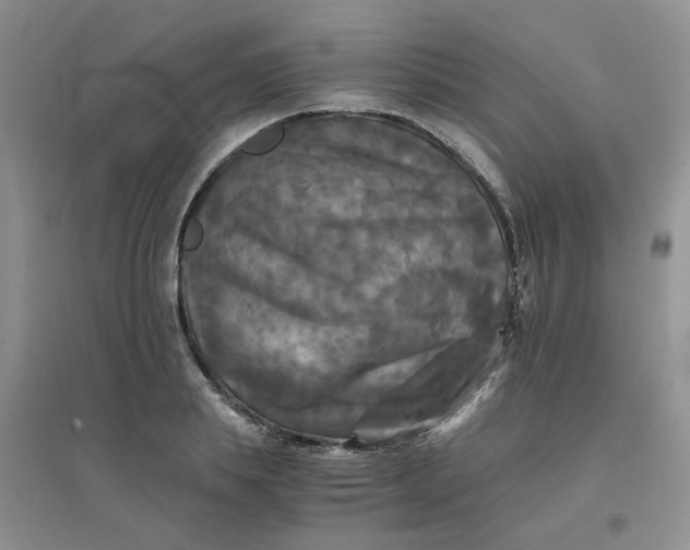 X0000096380839200802071511