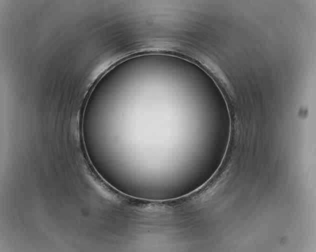 X0000096380842200802071511