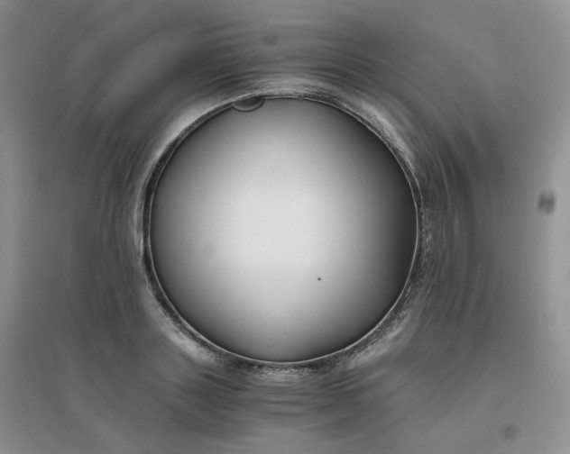 X0000096380843200802071511