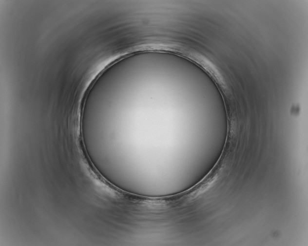 X0000096380844200802071511