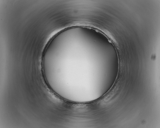 X0000096380846200802071511