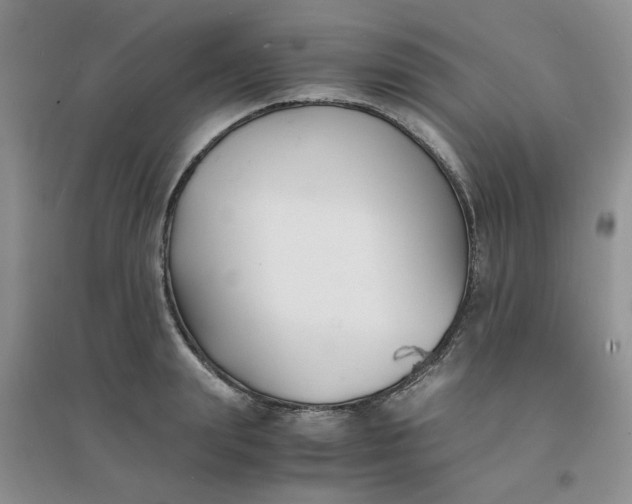 X0000096380847200802071511