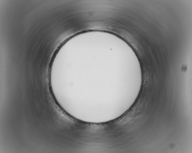 X0000096380848200802071511