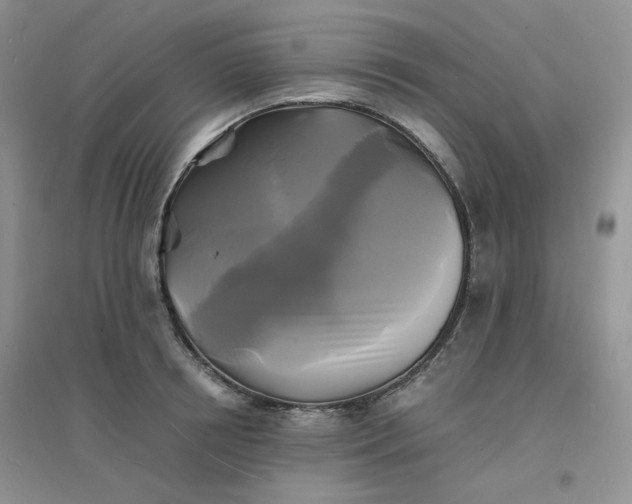 X0000096380850200802071511