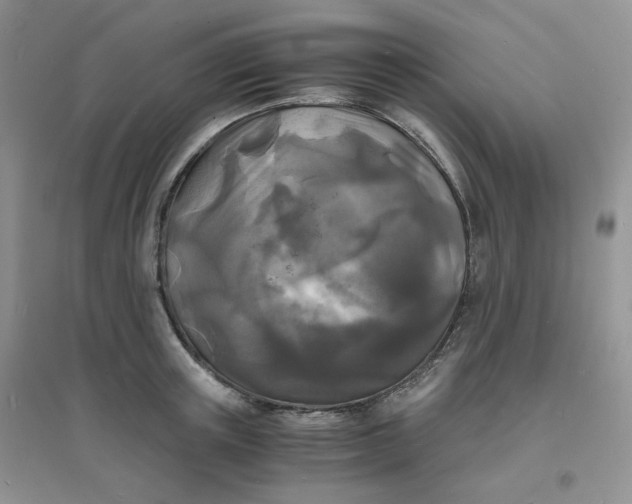 X0000096380851200802071511