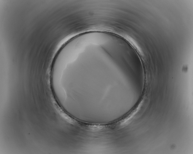 X0000096380854200802071511