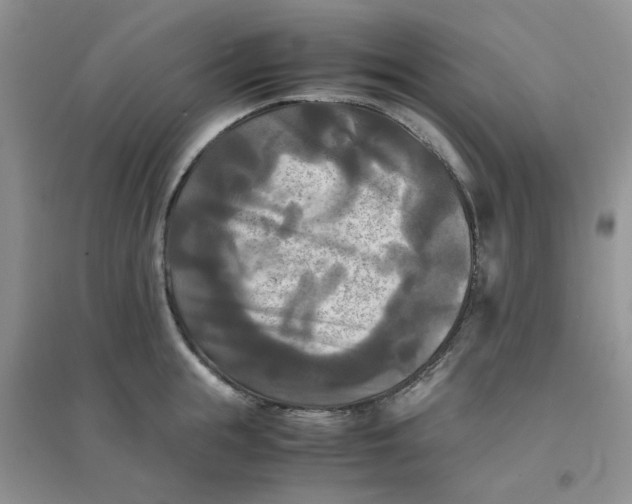 X0000096380855200802071511