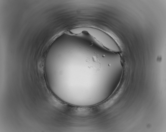 X0000096380857200802071511