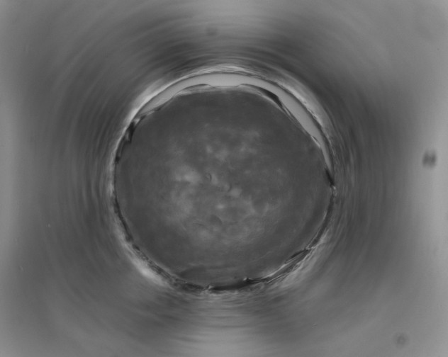 X0000096380858200802071511