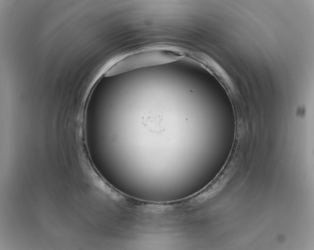 X0000096380860200802071511