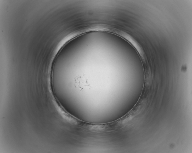 X0000096380861200802071511