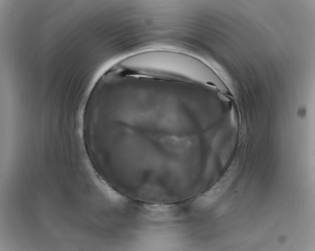 X0000096380862200802071512