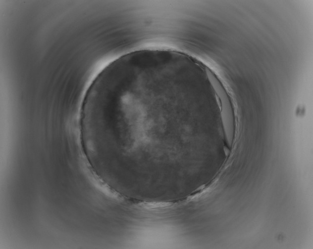 X0000096380864200802071512