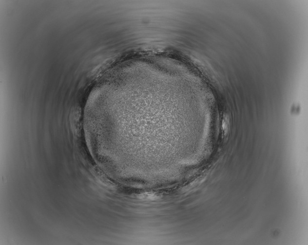 X0000096380867200802071511