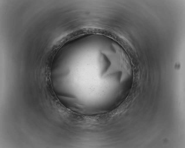 X0000096380870200802071511