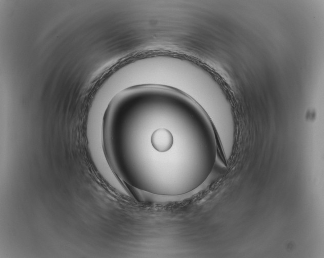 X0000096380872200802071511