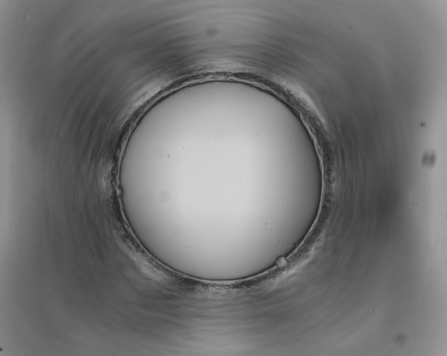 X0000096380873200802071511