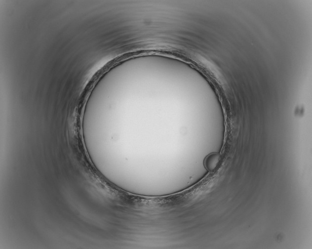 X0000096380875200802071511