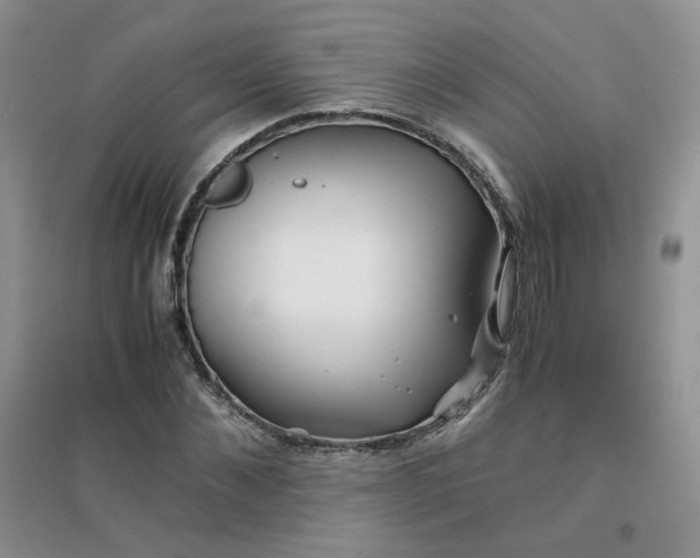 X0000096380876200802071511