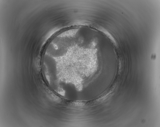 X0000096380878200802071511