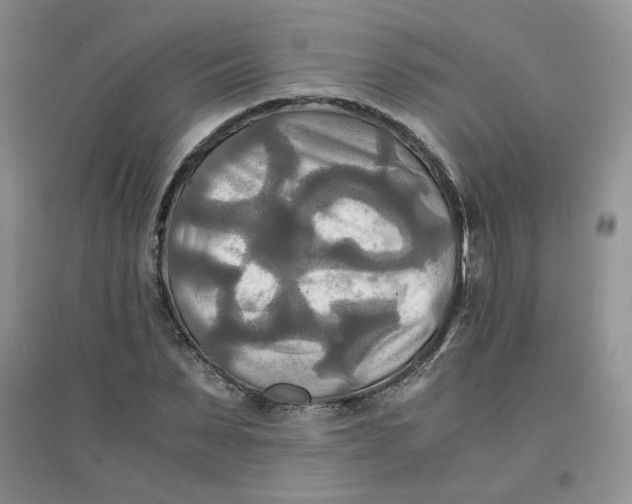 X0000096380879200802071511