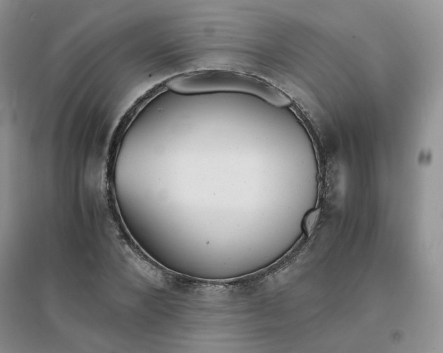 X0000096380880200802071511