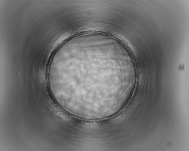 X0000096380882200802071511