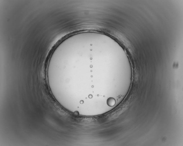 X0000096380883200802071511