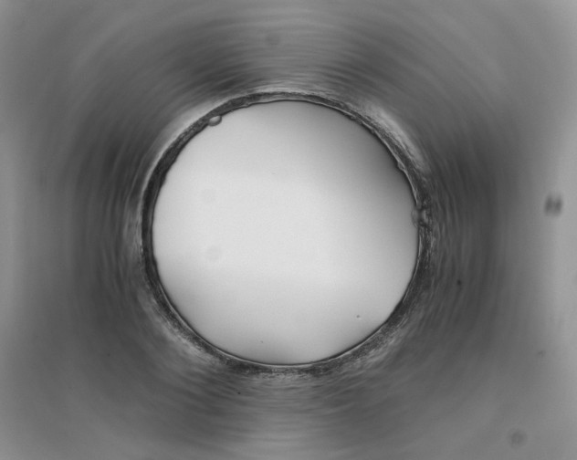 X0000096380884200802071511