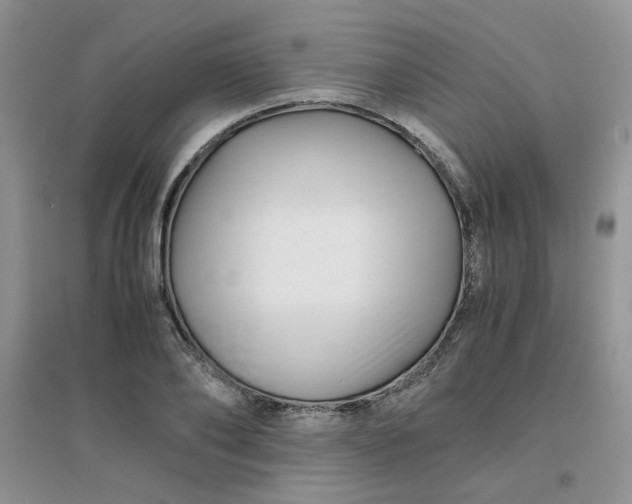 X0000096380886200802071511