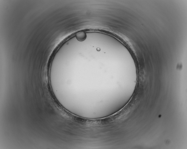 X0000096380887200802071511