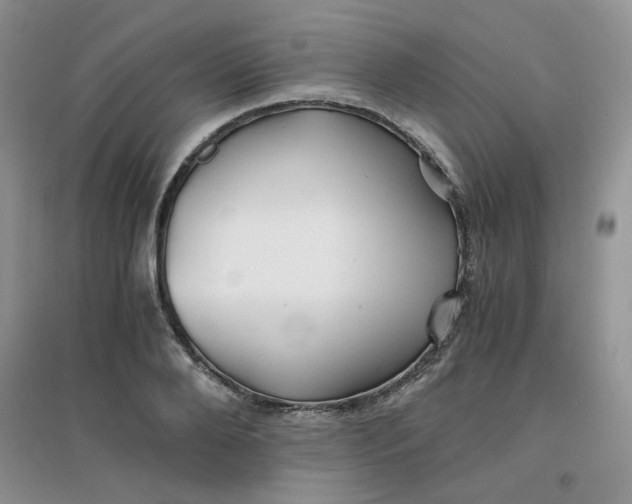 X0000096380888200802071511