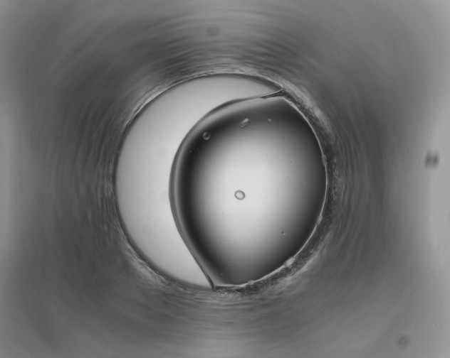 X0000096380889200802071511