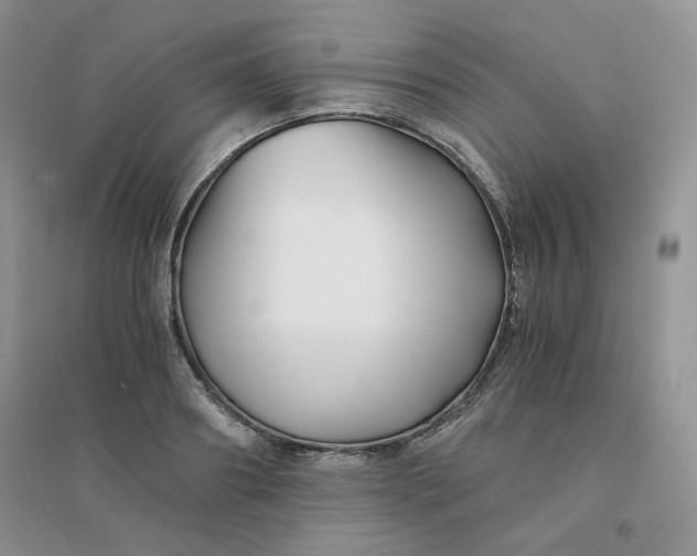 X0000096380890200802071511