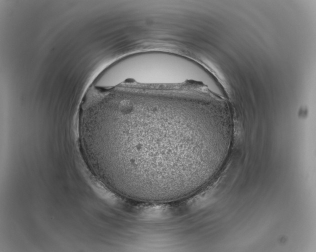 X0000096380891200802071511