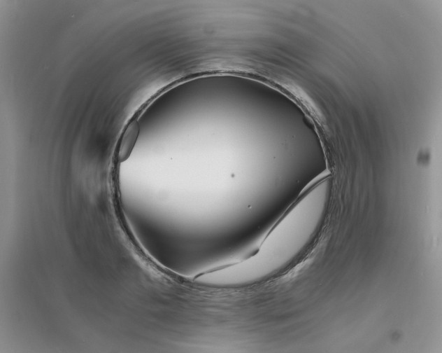 X0000096380893200802071510