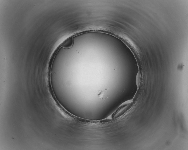 X0000096380894200802071510