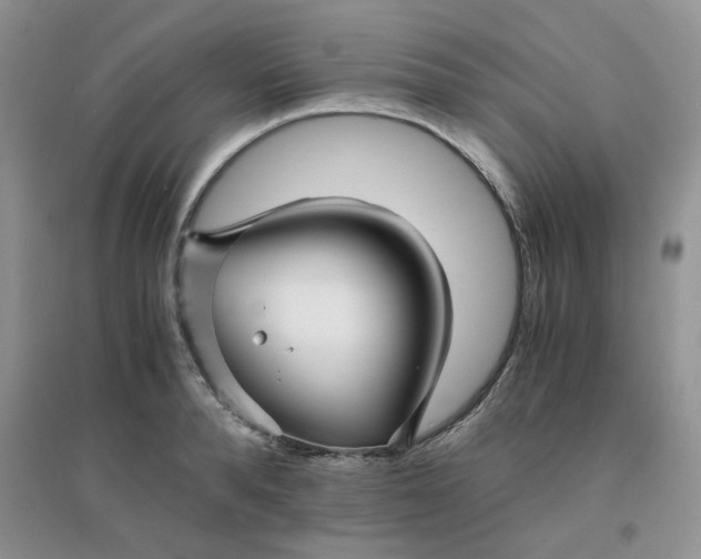 X0000096380896200802071510