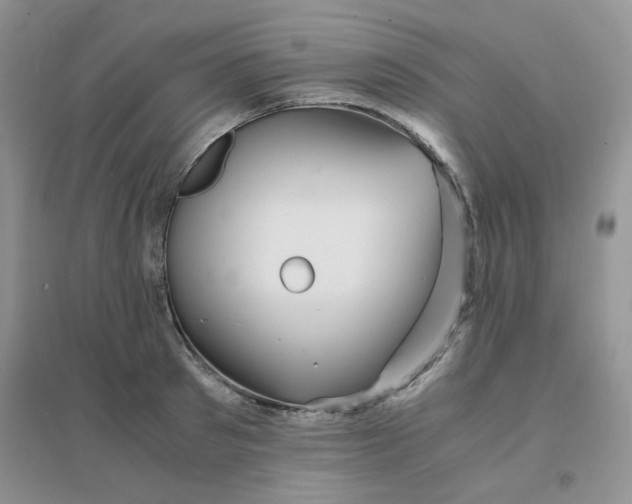 X0000096380897200802071510