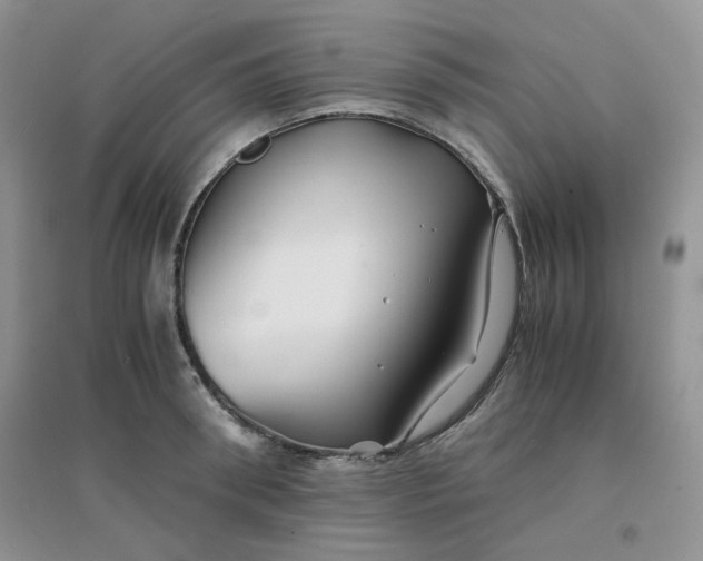 X0000096380898200802071510