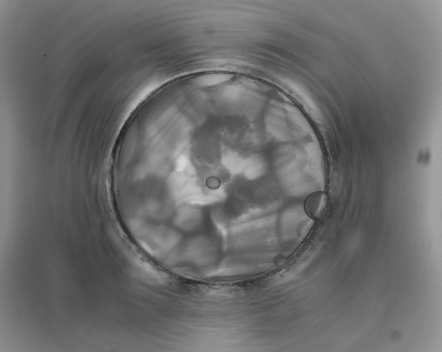 X0000096380899200802071510