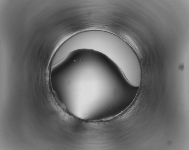 X0000096380900200802071510