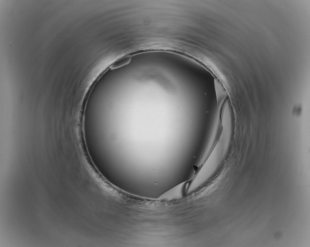 X0000096380901200802071510