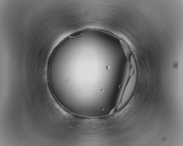 X0000096380902200802071510