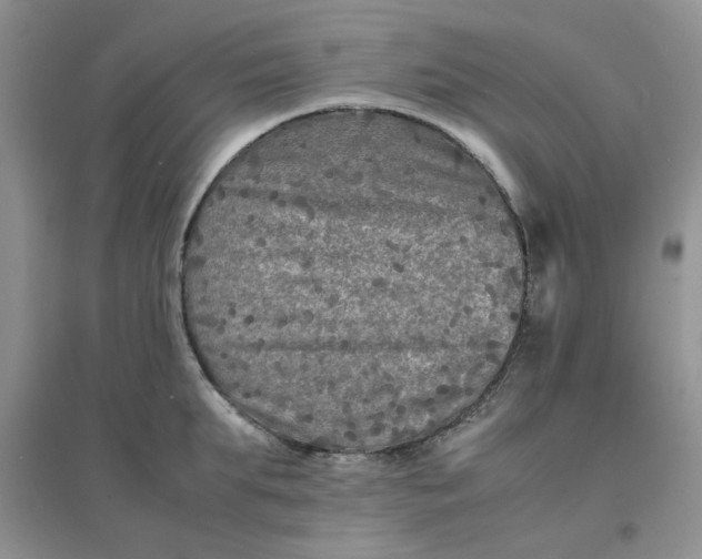 X0000096380903200802071510