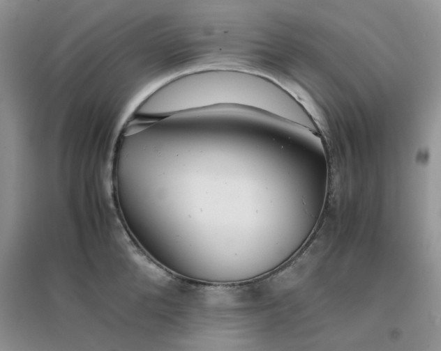 X0000096380904200802071510