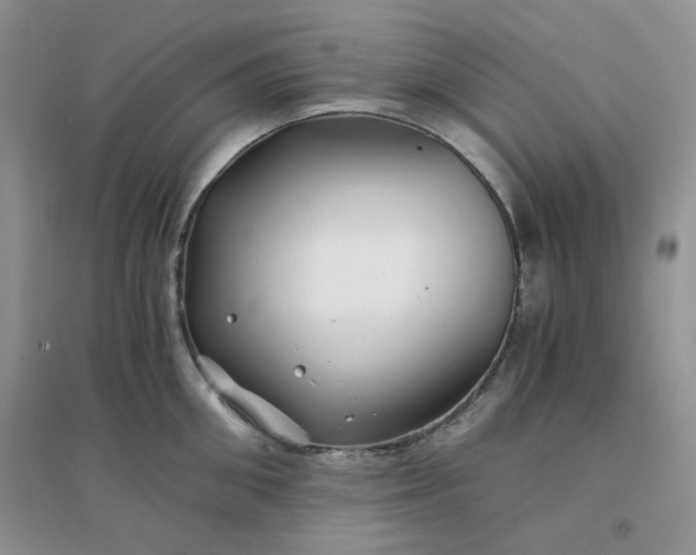 X0000096380906200802071510