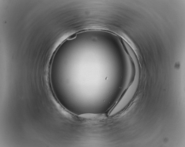 X0000096380909200802071510