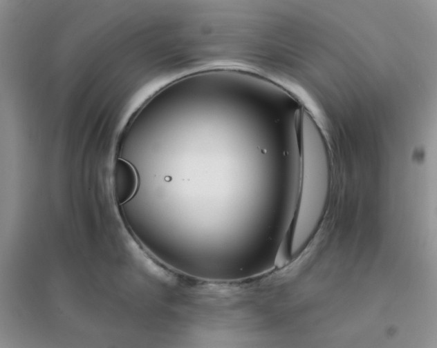 X0000096380910200802071510