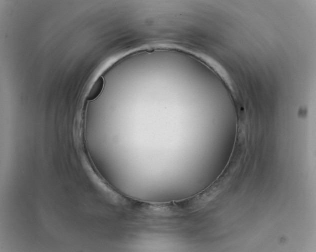 X0000096380911200802071510